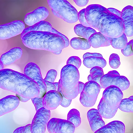 prevotella infection test package